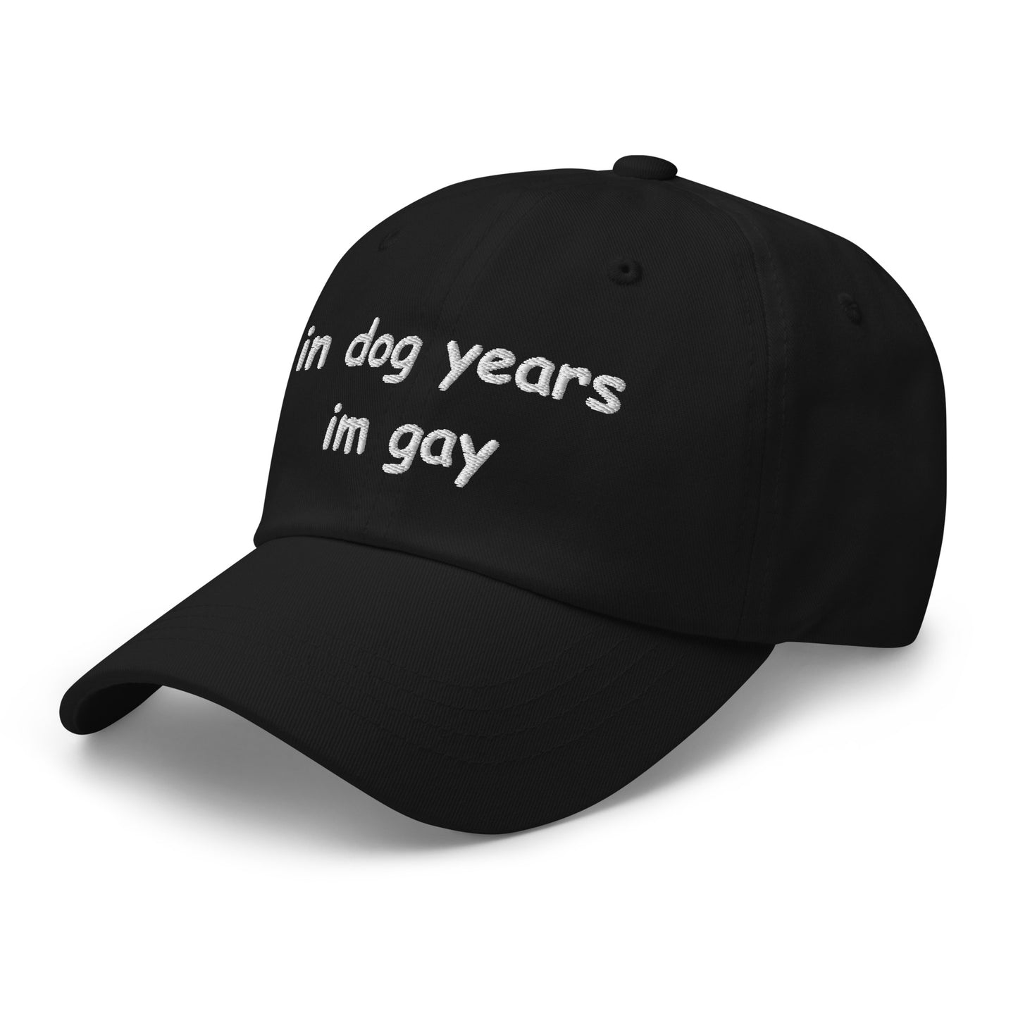 in dog years im gay Hat